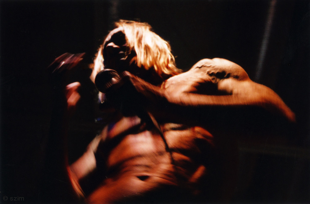 Iggy Pop, 2004