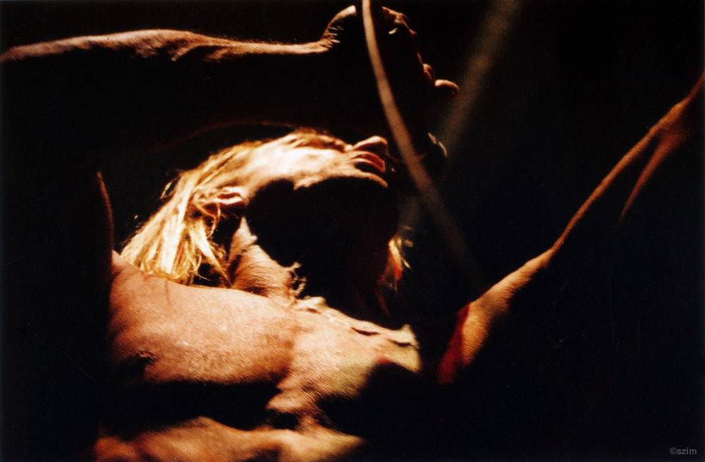 Iggy Pop, Columbiahalle Berlin, 2004