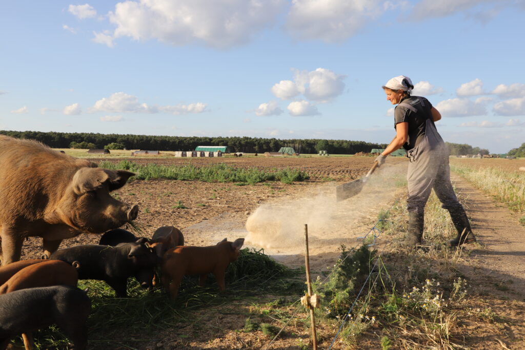 210612_Schweine-Shooting_Gömnitz_266_szim